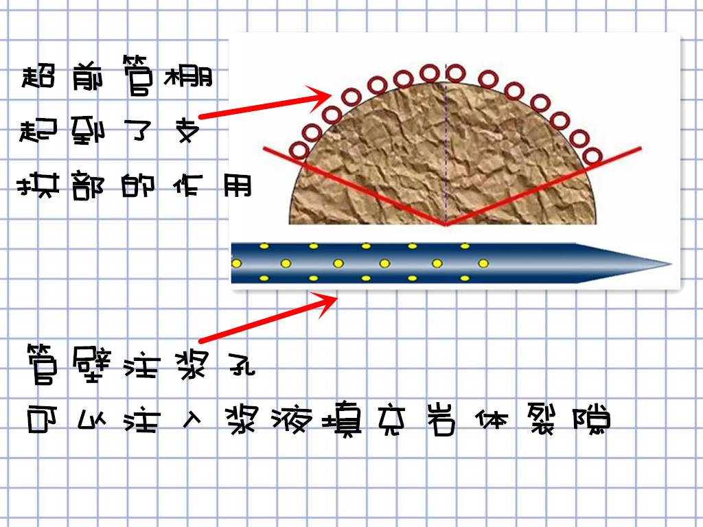 w88win优德(中国)有限公司