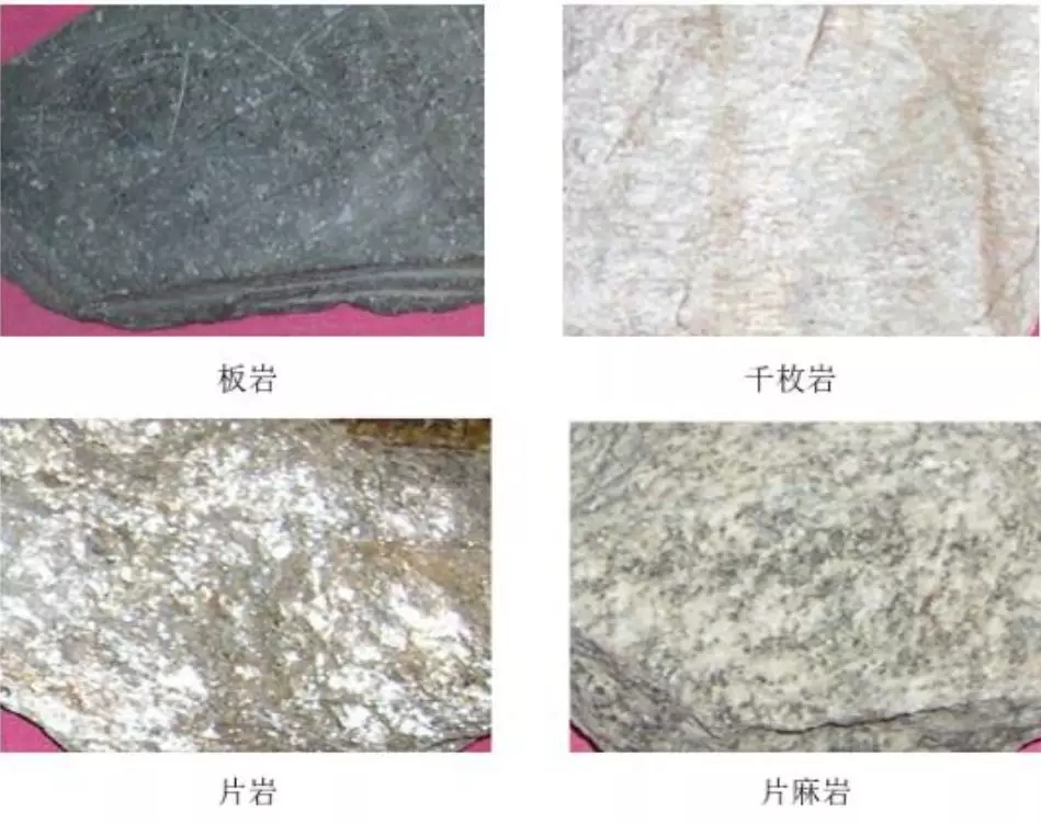 w88win优德(中国)有限公司