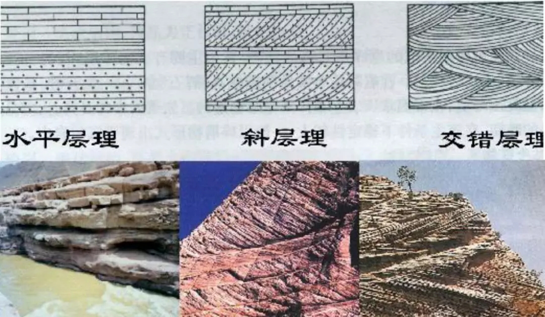w88win优德(中国)有限公司