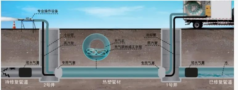 w88win优德(中国)有限公司