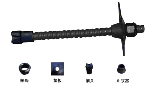 w88win优德(中国)有限公司